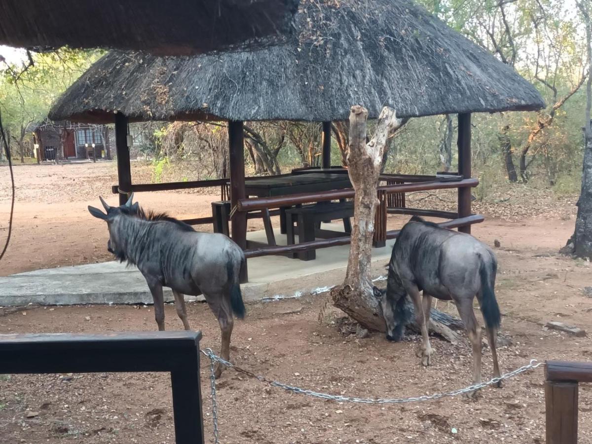 South Safari Lodge Marloth Park Ngoại thất bức ảnh