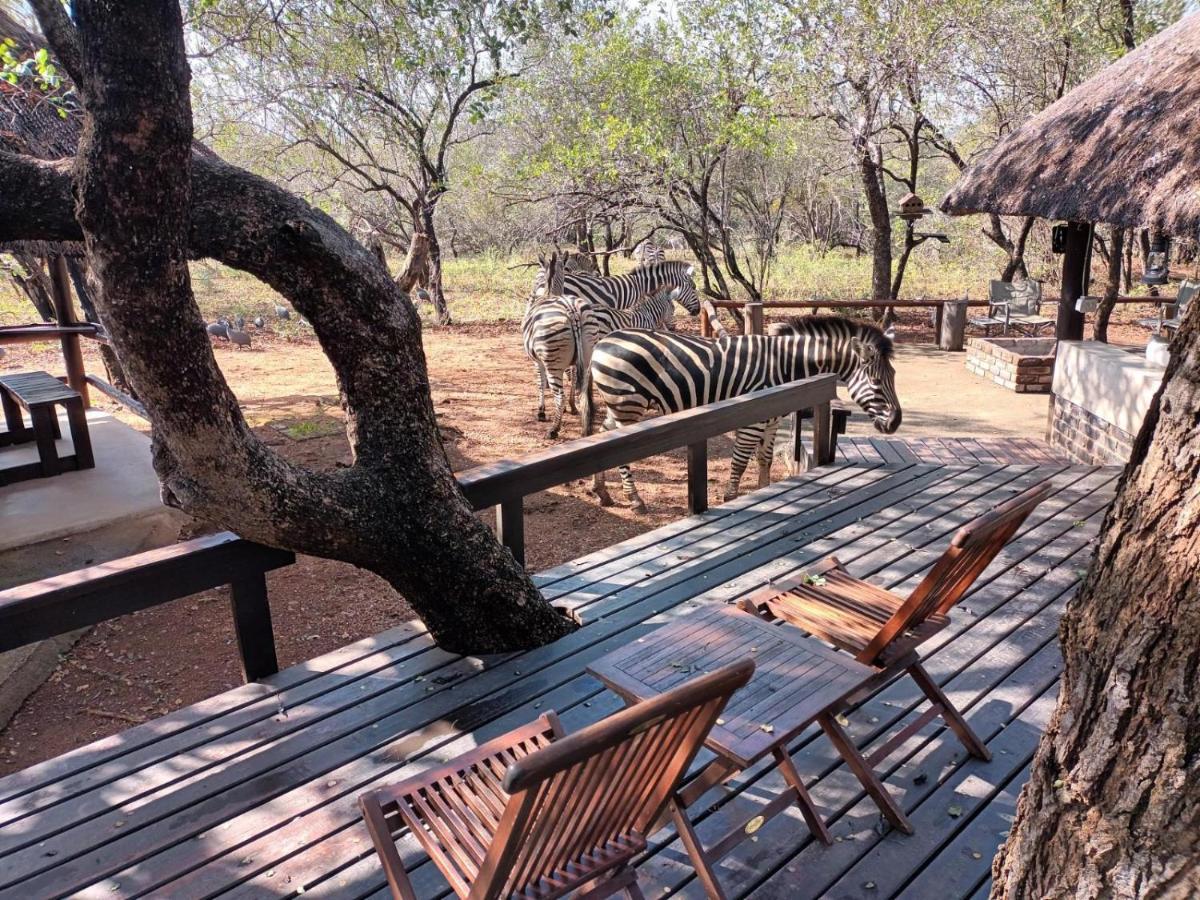 South Safari Lodge Marloth Park Ngoại thất bức ảnh